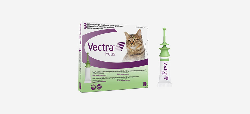 Vectra Felis je kompletní ochrana proti blechám Vaší kočky
