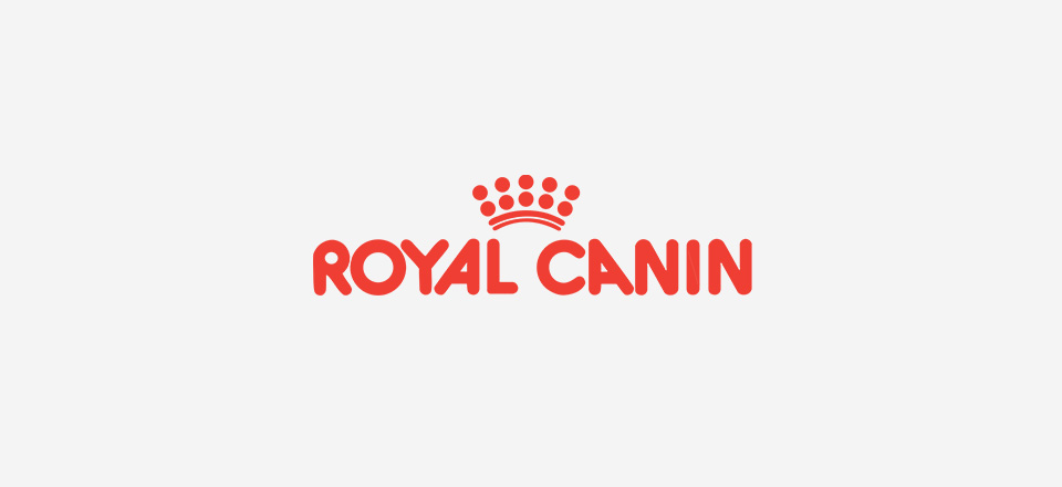 Royal Canin – Kožní problémy mohou být víc než potíže s kůží