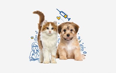 Očkování psů a koček